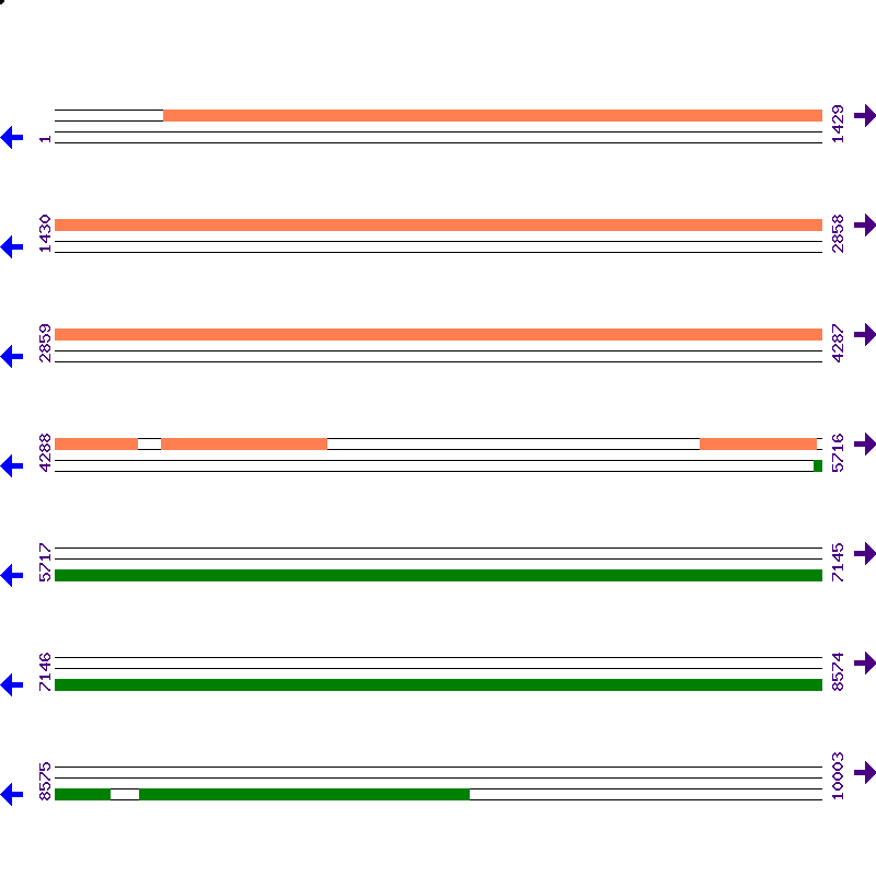 Genome View