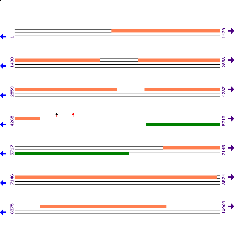 Genome View