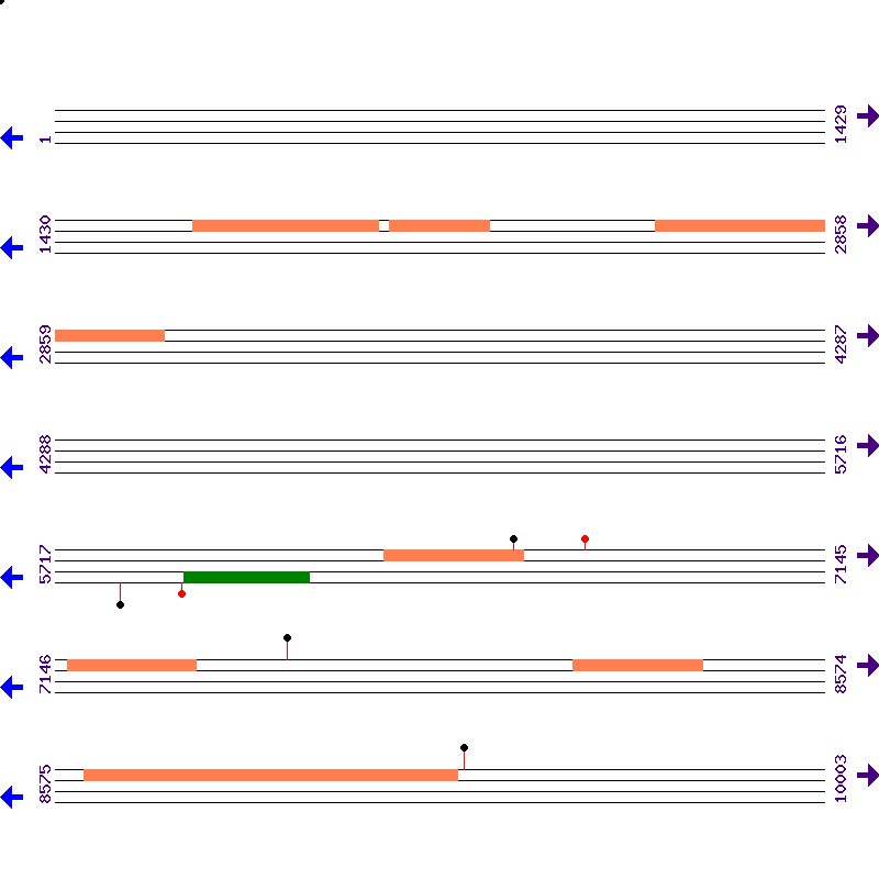Genome View