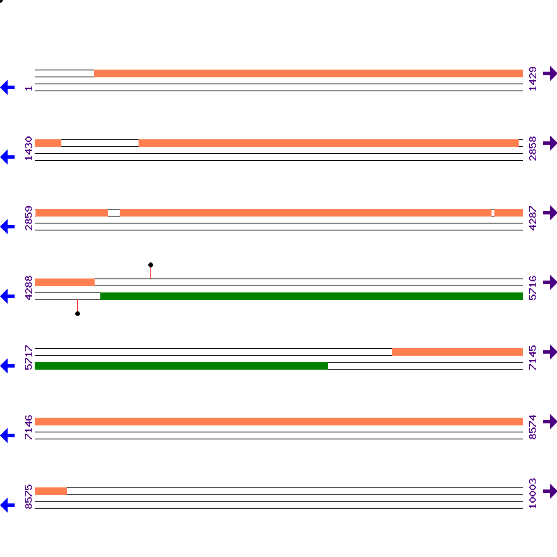 Genome View
