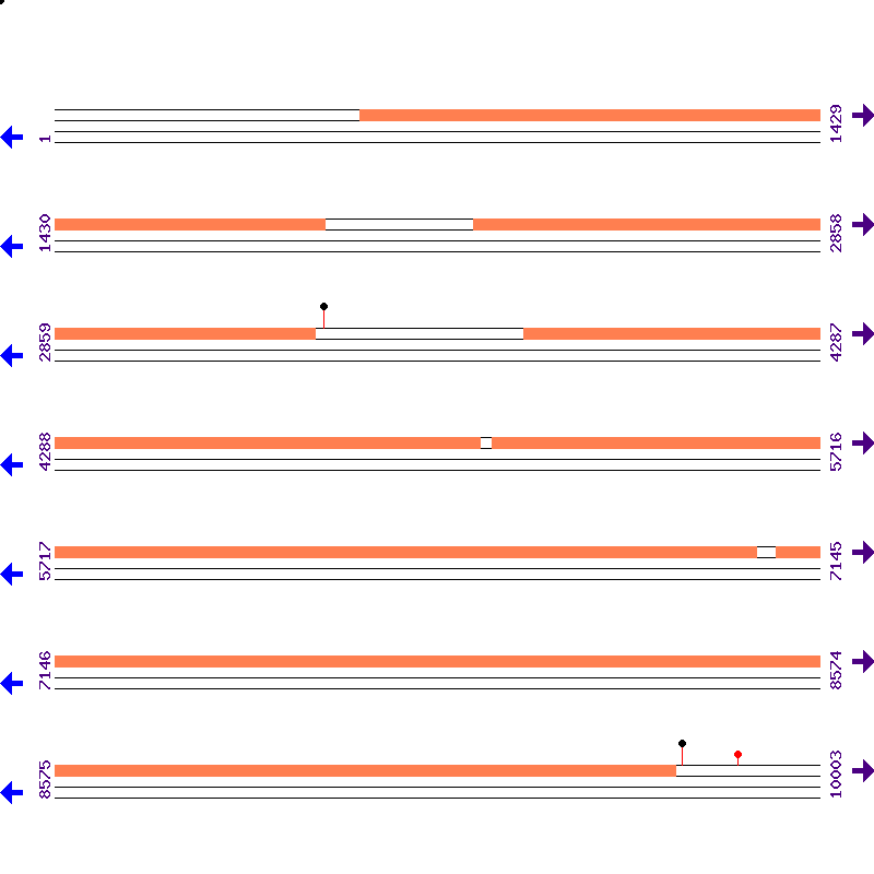 Genome View