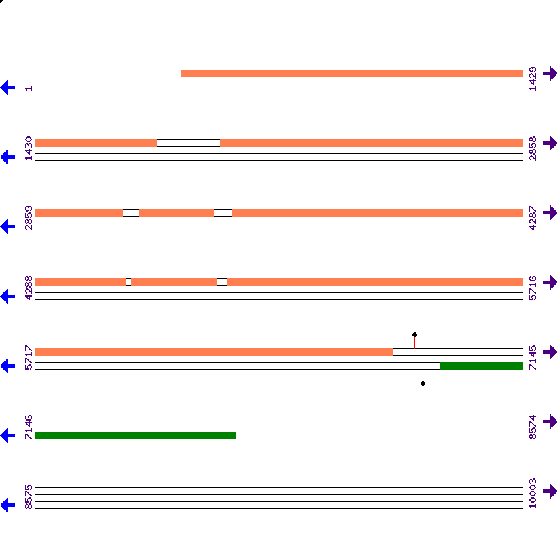 Genome View