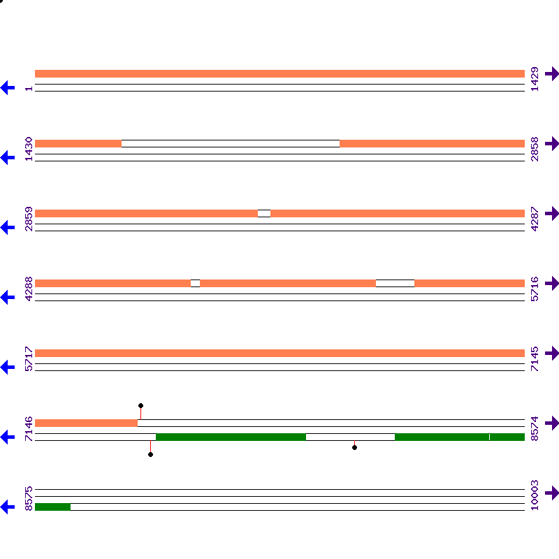 Genome View