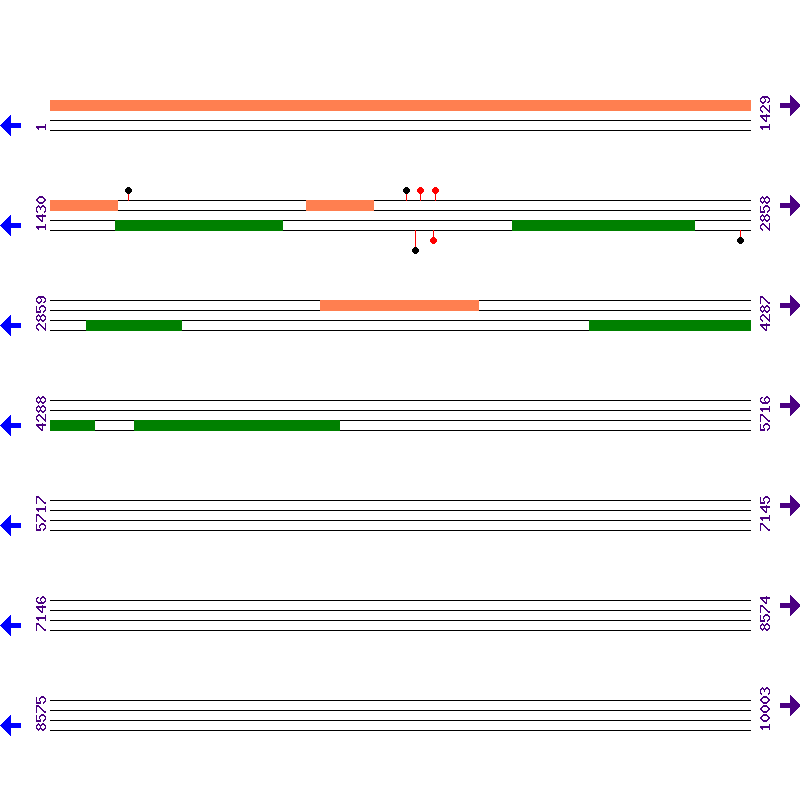 Genome View