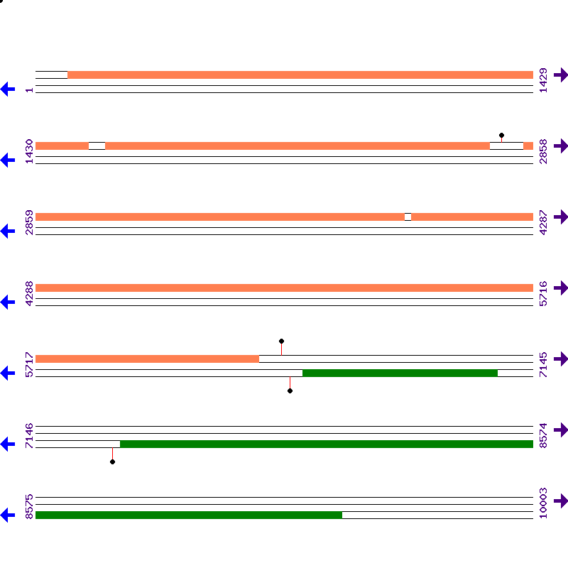 Genome View