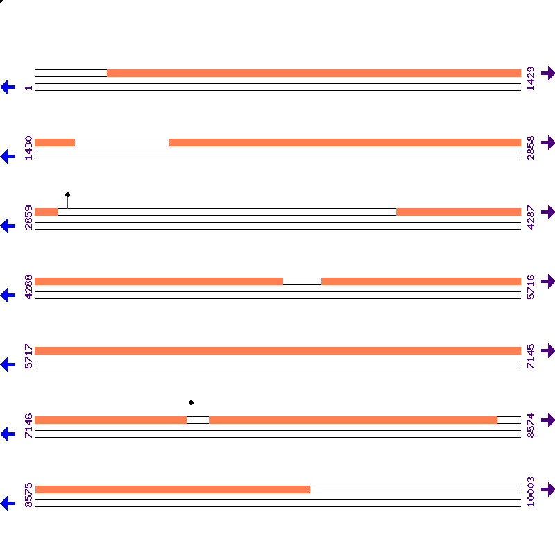 Genome View