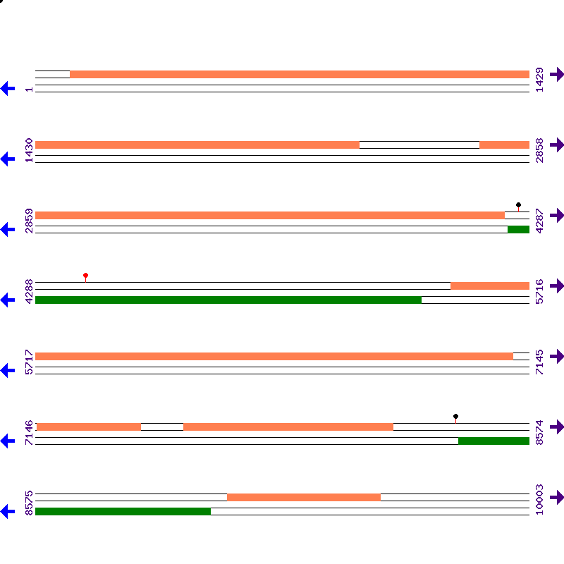 Genome View