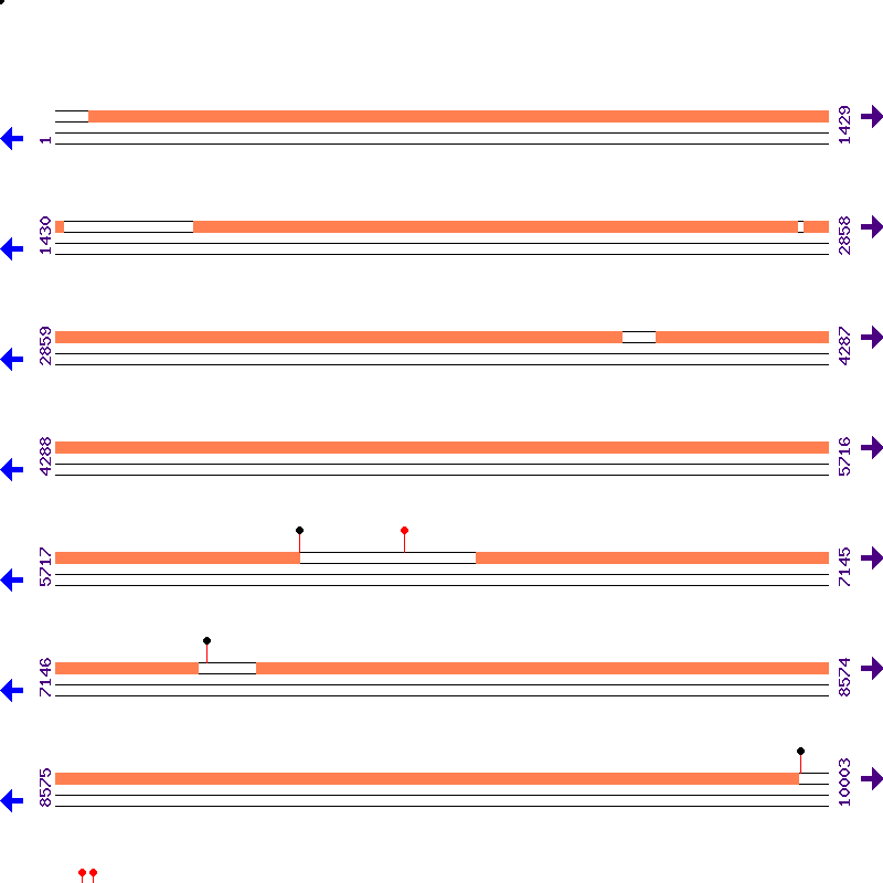 Genome View
