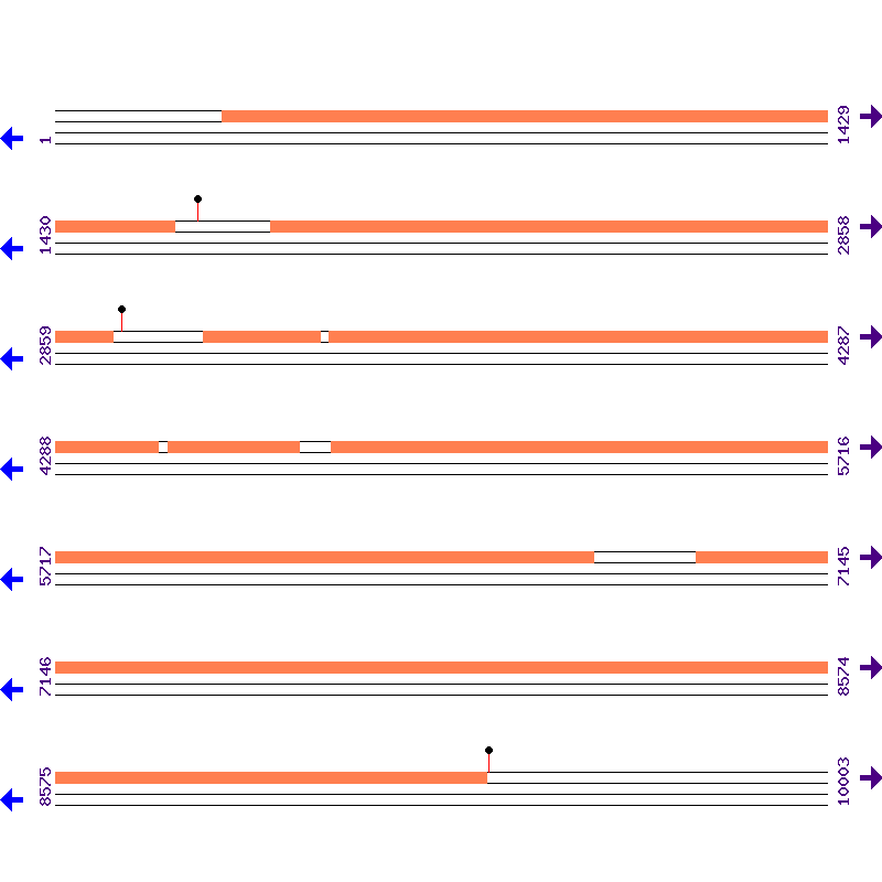 Genome View
