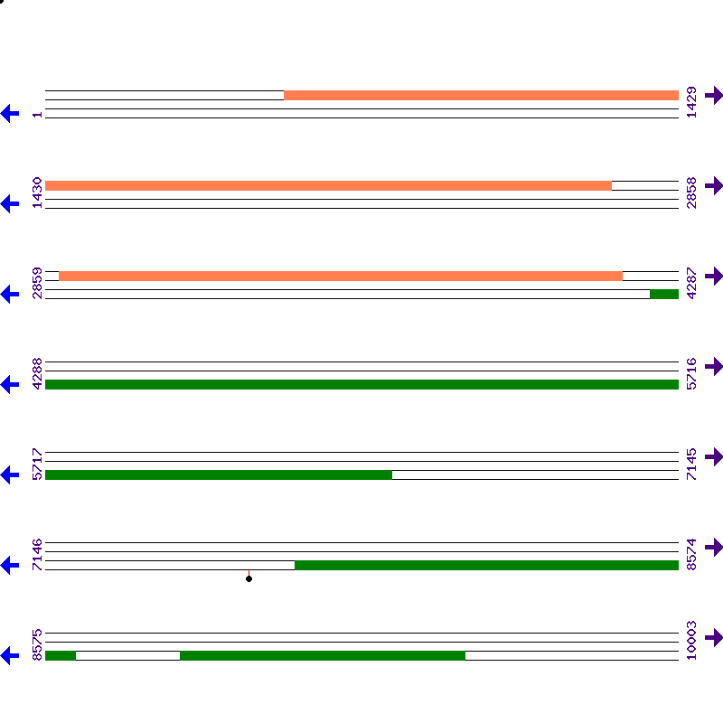 Genome View