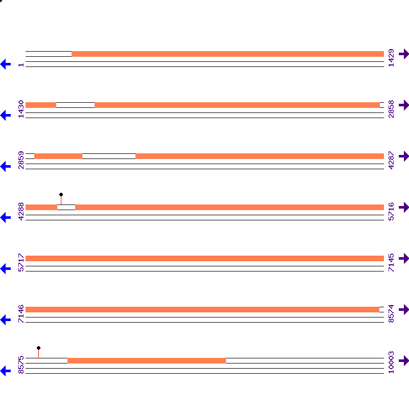 Genome View