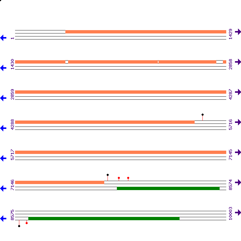 Genome View