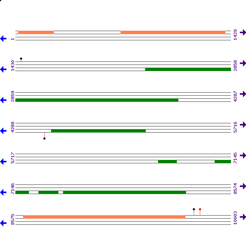 Genome View