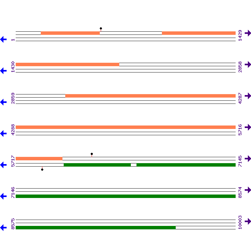 Genome View