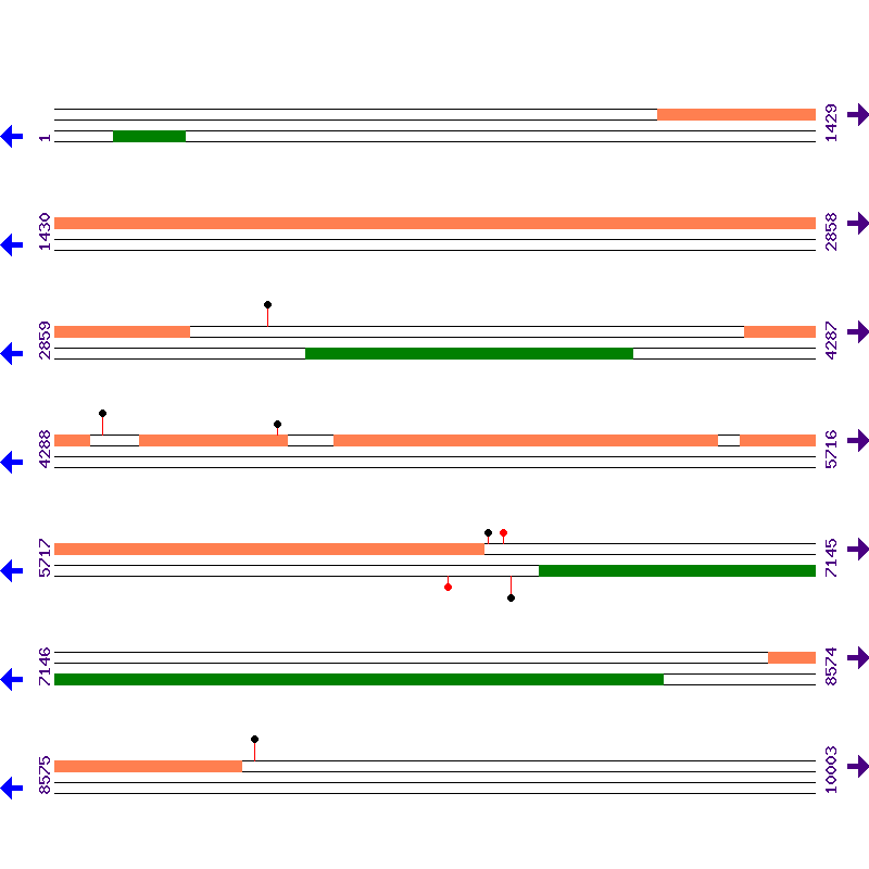Genome View