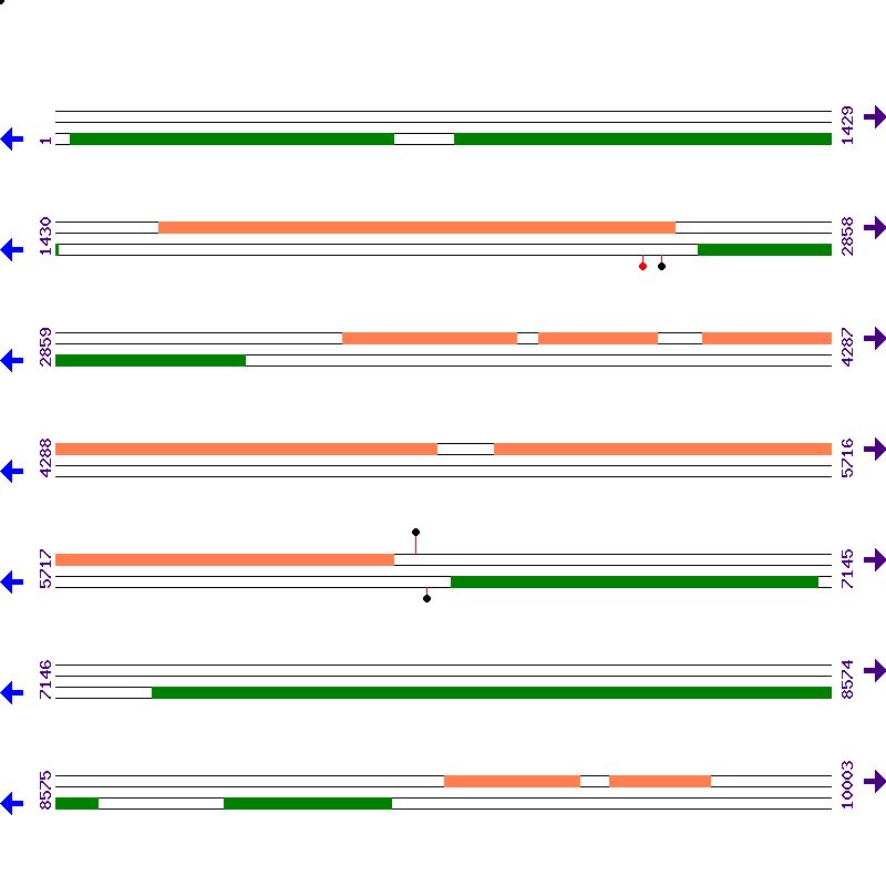 Genome View