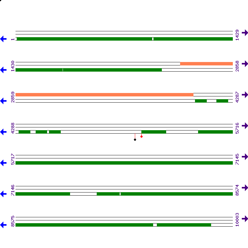 Genome View