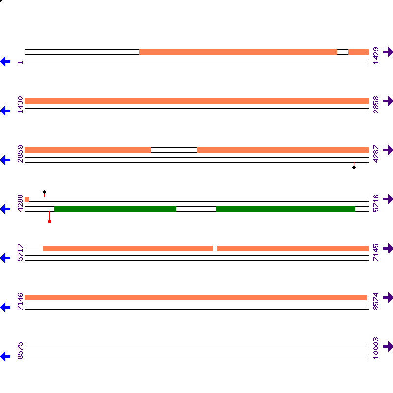Genome View