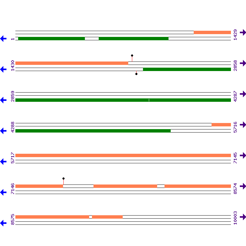 Genome View
