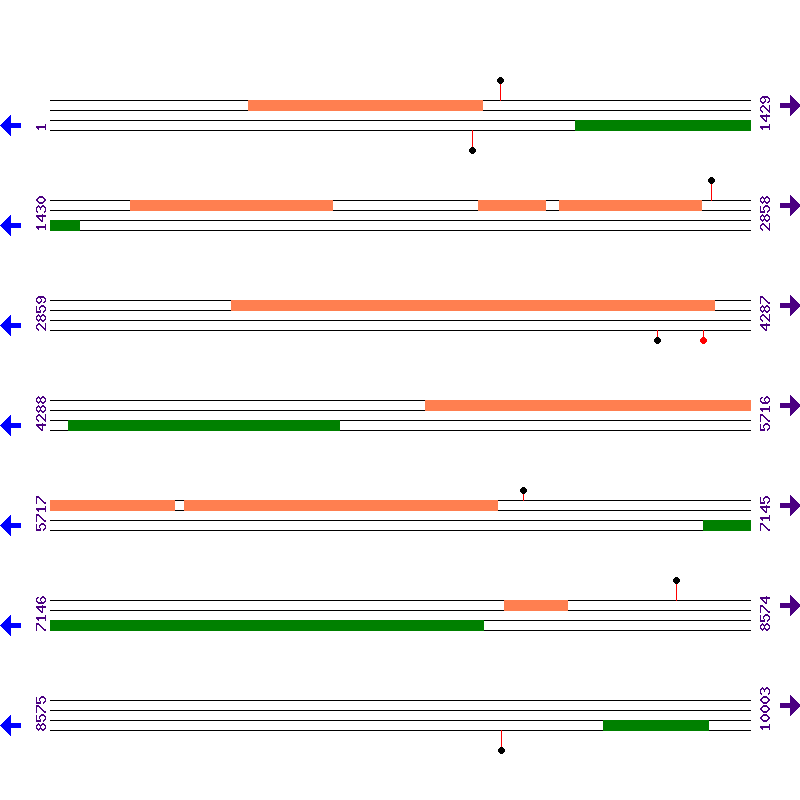 Genome View