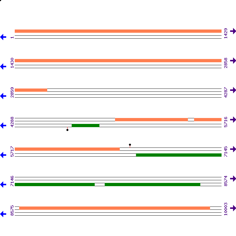 Genome View