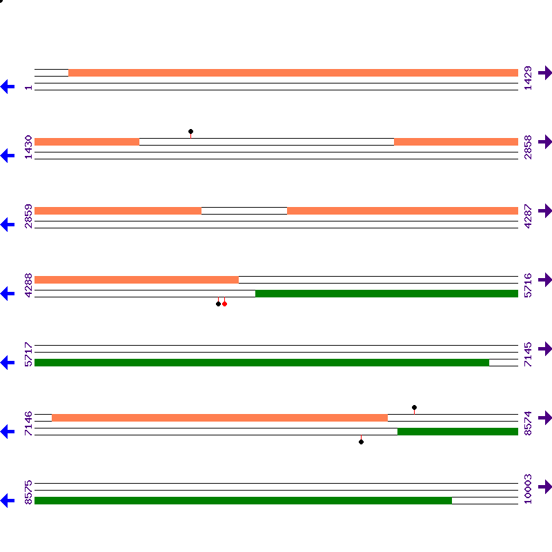 Genome View