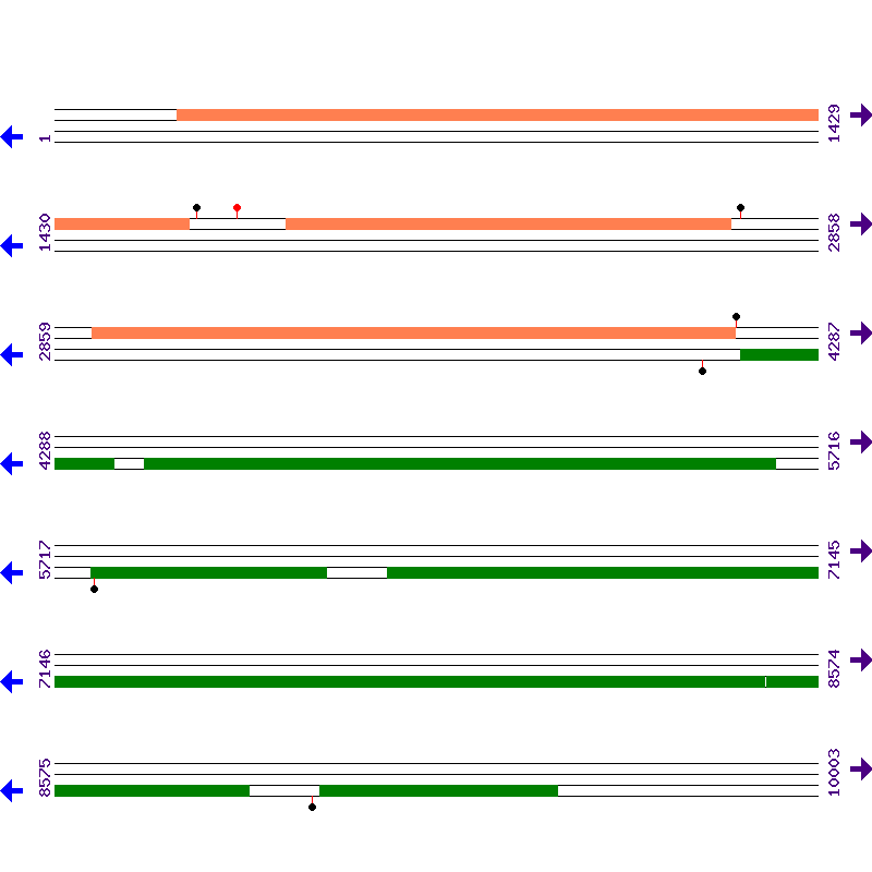 Genome View