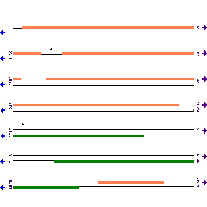 Genome View