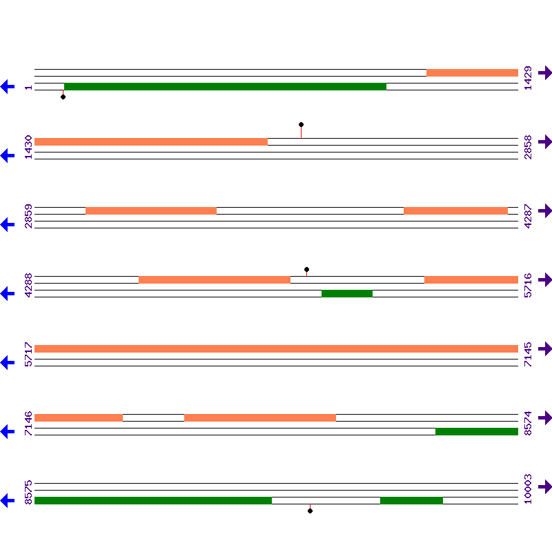 Genome View