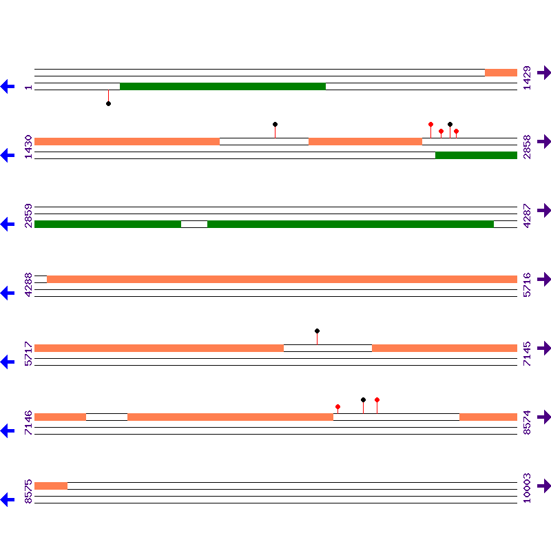 Genome View
