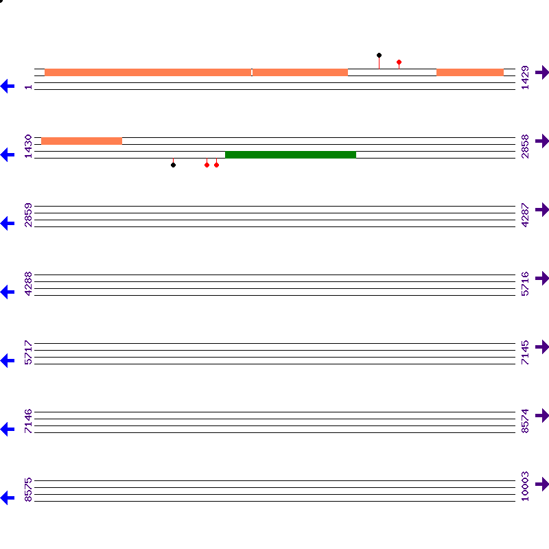 Genome View
