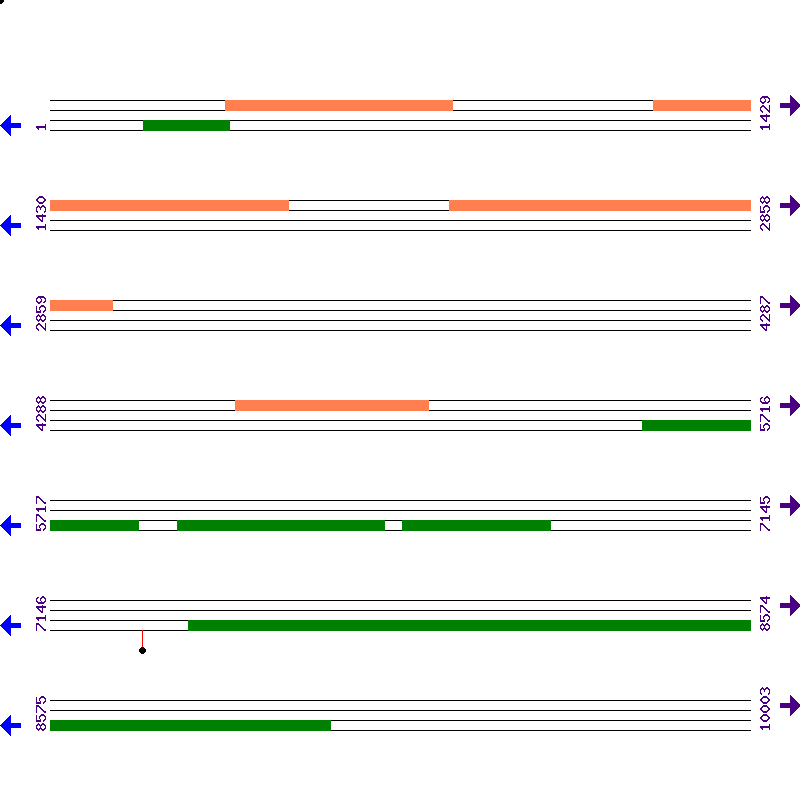Genome View
