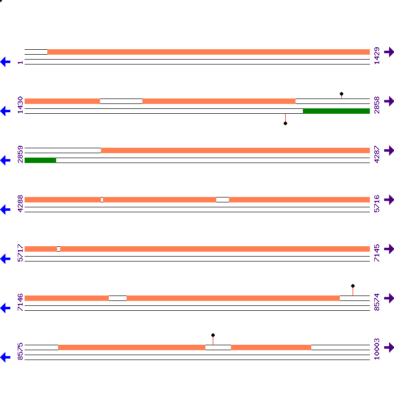 Genome View
