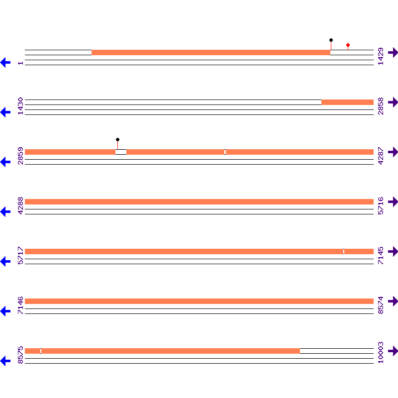 Genome View