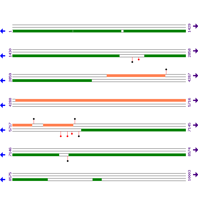 Genome View