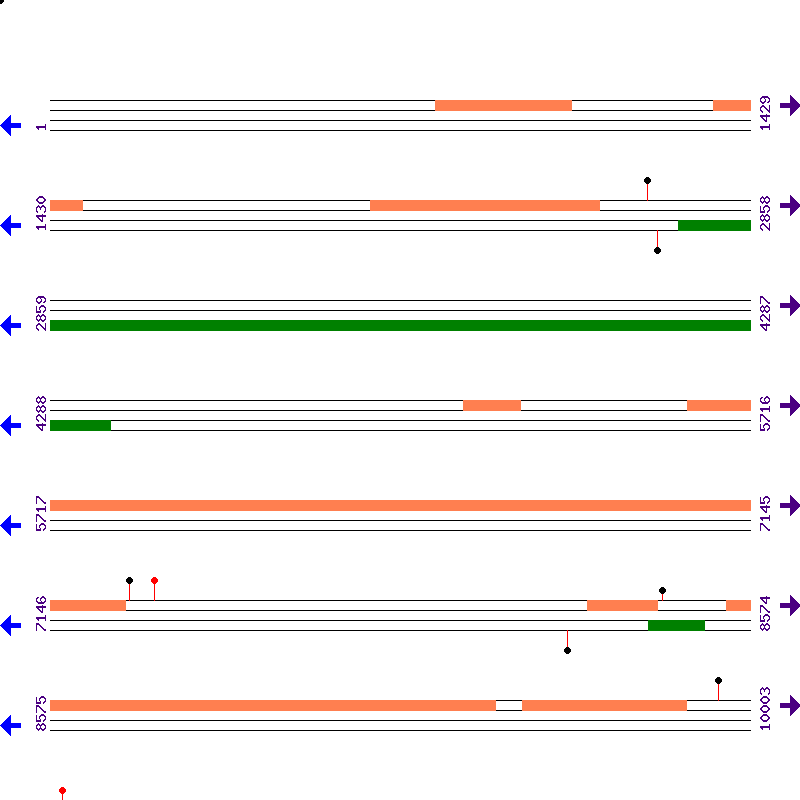 Genome View