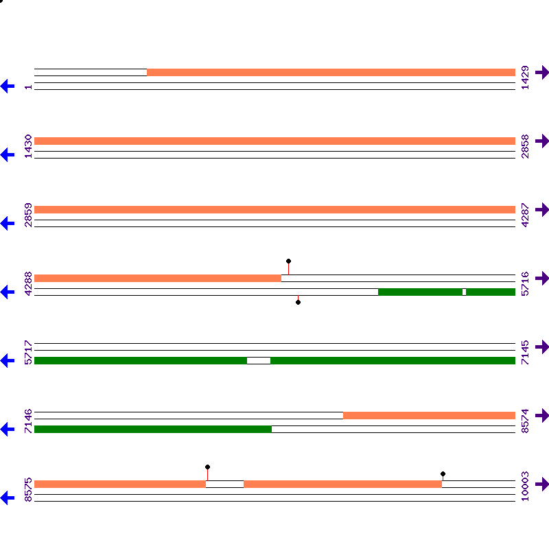 Genome View