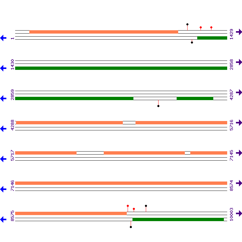 Genome View
