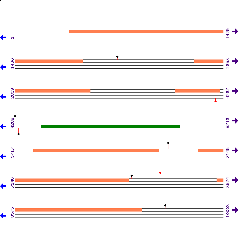 Genome View