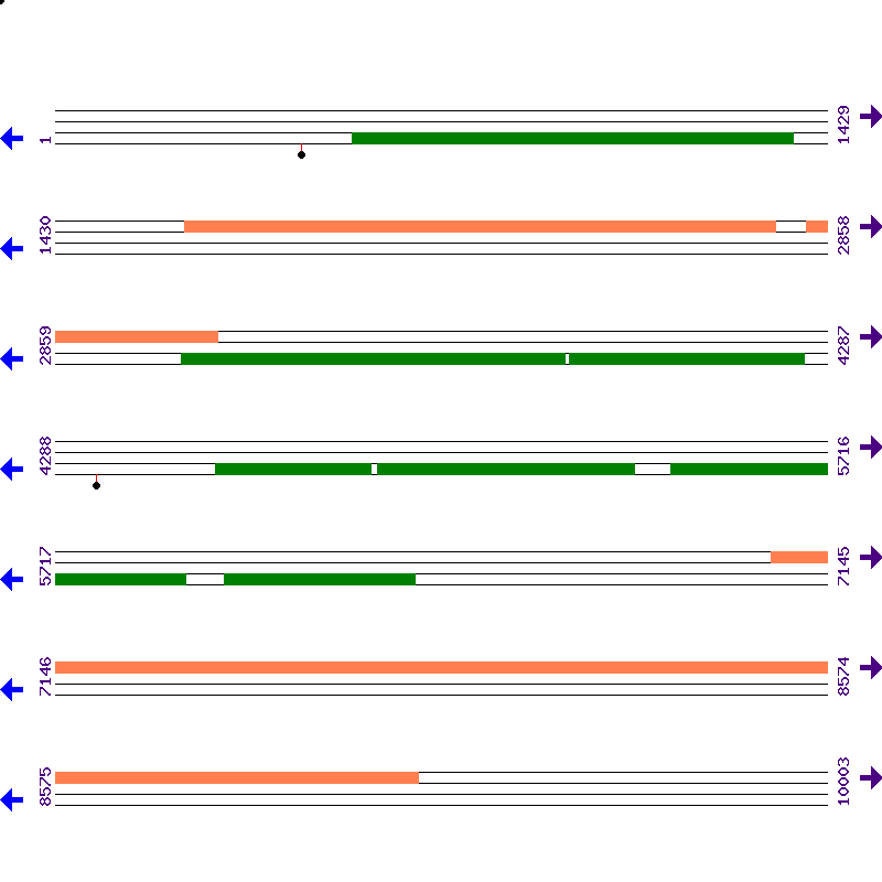 Genome View