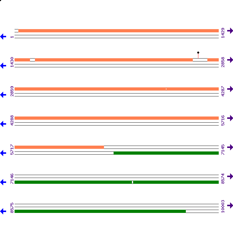 Genome View