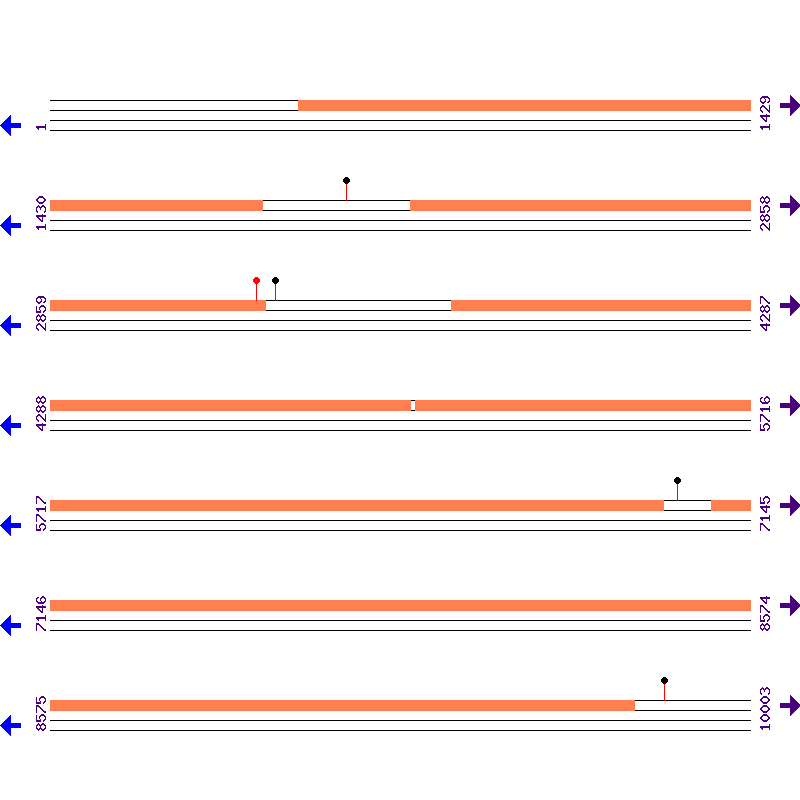 Genome View