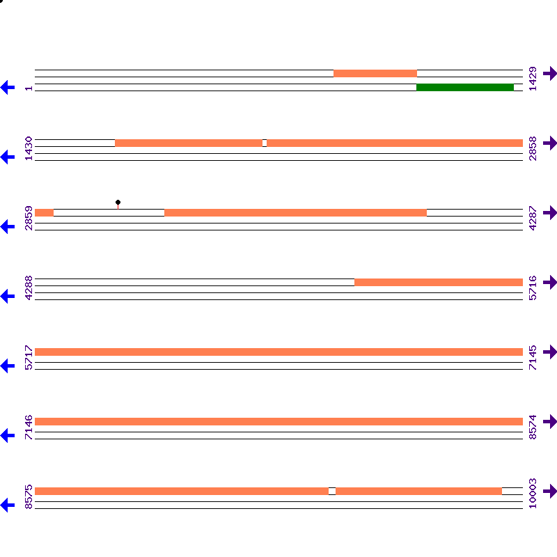 Genome View