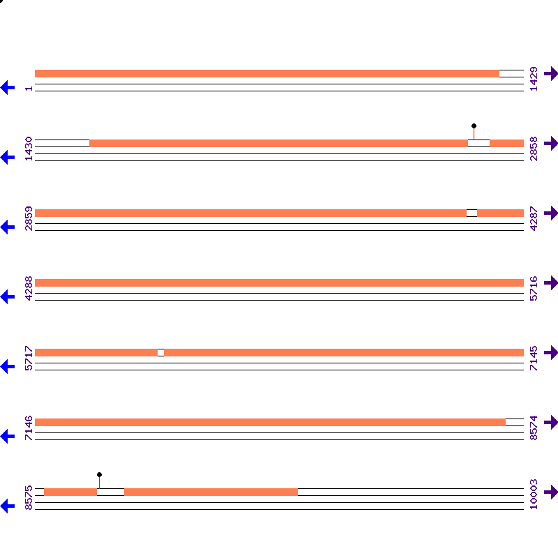 Genome View