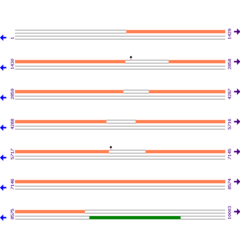 Genome View