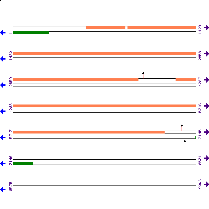 Genome View