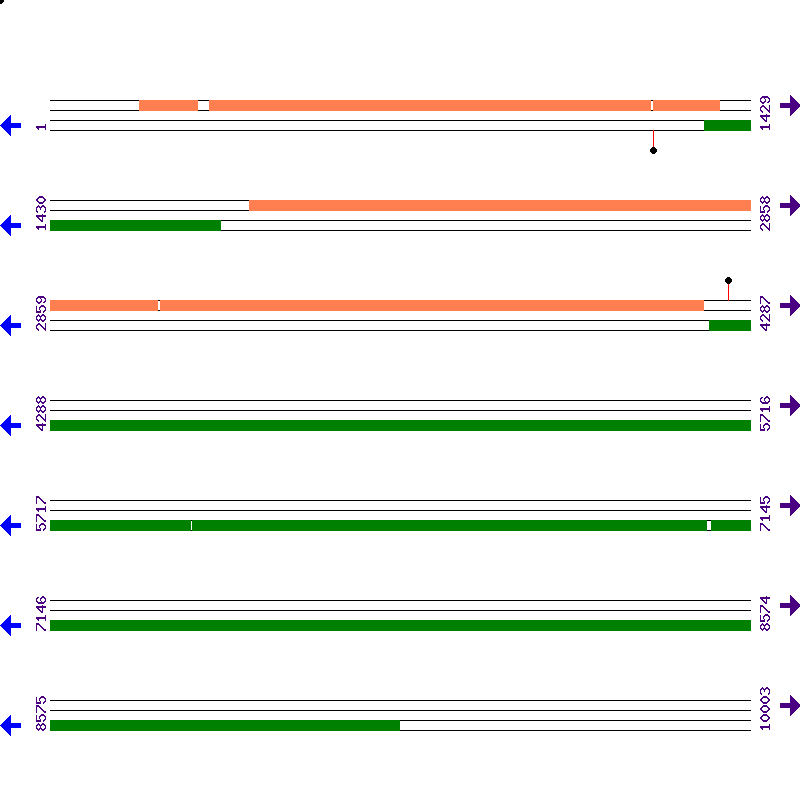 Genome View