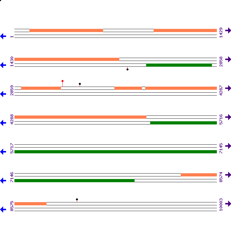 Genome View