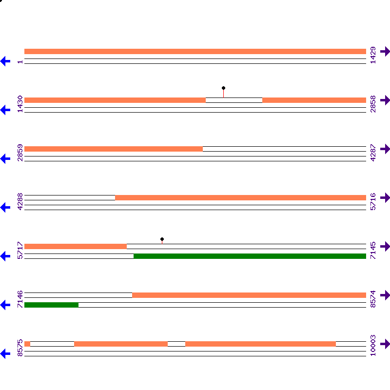Genome View