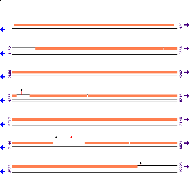 Genome View